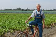 A bemutatókert gazdája – Kertészet és Szőlészet 2009. szeptember 16.