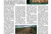 Bejo, a káposztafejedelemség – MMG 2015. október 7.