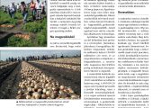 Minden év más – Kertészet és Szőlészet 2016. szeptember 14.