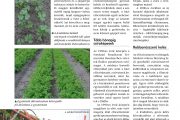 Előcsíráztatott vetőmagból – Kertészet és Szőlészet 2017. február 15.