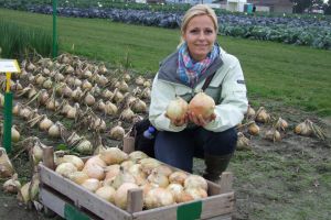 A hagymadivatok irányai – Kertészet és Szőlészet 2009. október 21.
