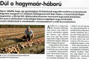 Dúl a hagymaár-háború