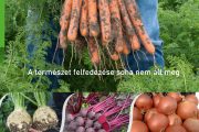 Bejo katalógus 2021-2023